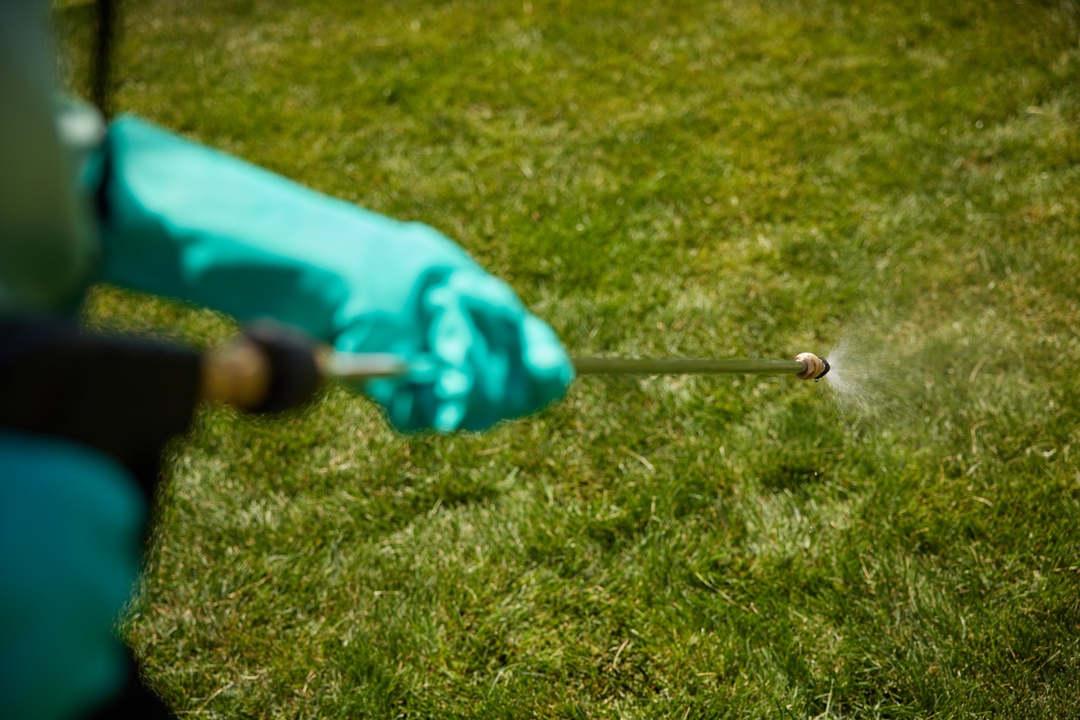 Pest Control Service Spraying Customer's Lawn Service pro spraying customer's lawn