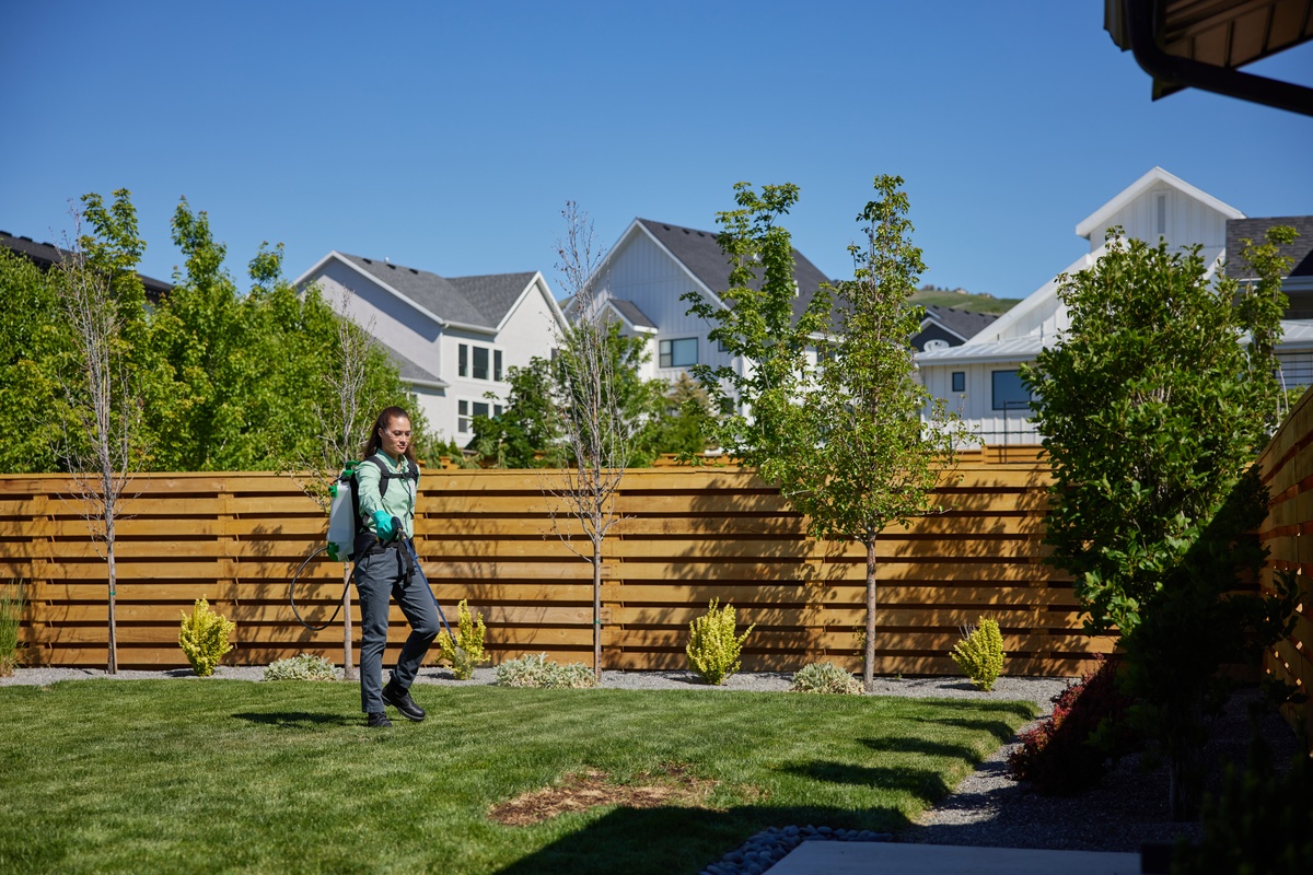 Pest Control Service Spraying Back Yard Lawn Service pro spraying back yard lawn
