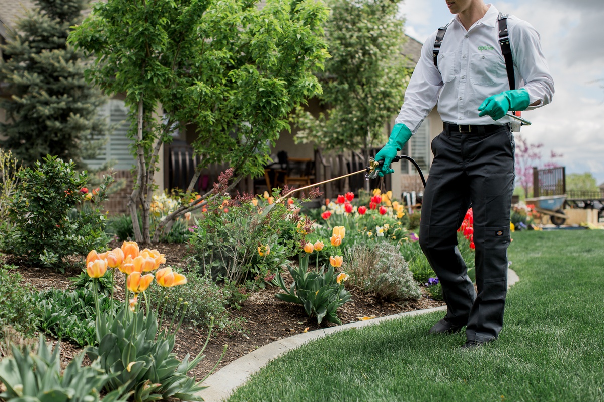 Service pro spraying treatment in customer's flowerbed